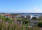Morild 1