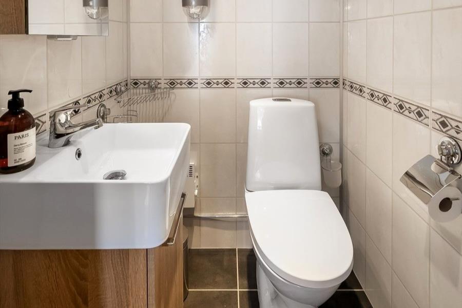 Gäste WC im EG