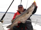 Skipper Arian