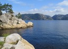 Solvika