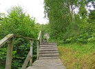 Sicht nach oben