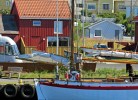 Koksbua