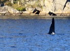 Farsund Nordstranda Hytte 3