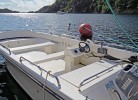 Inklusive ab 2024 Boot Elefant 21 ft. , 50 PS