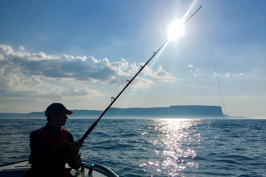 Im Sommer: Angeln zu jeder Tageszeit