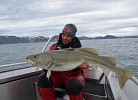 Barents Sea