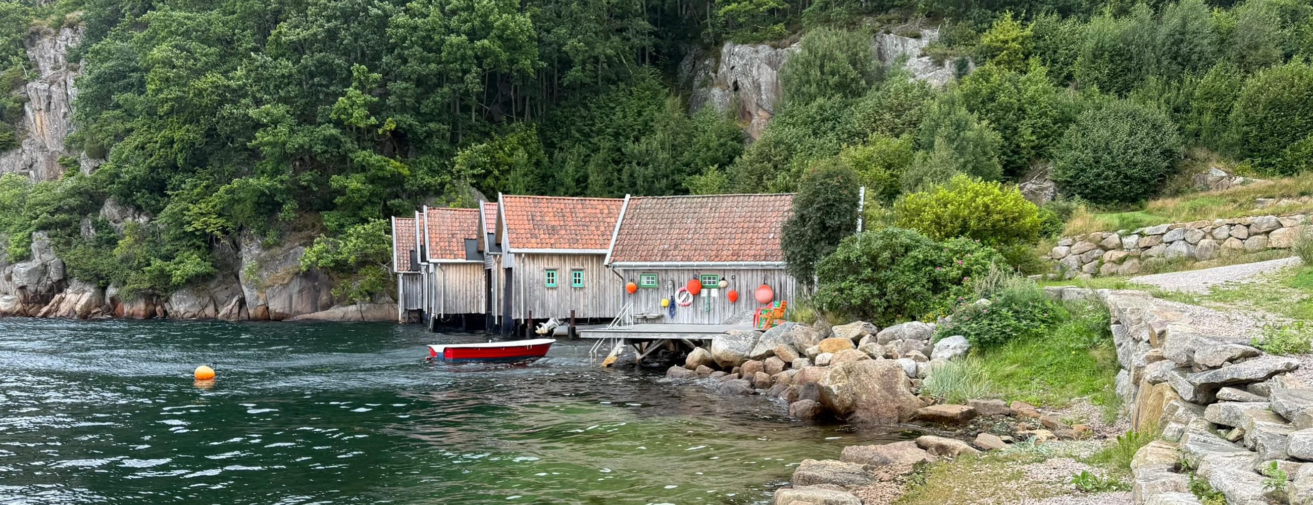 Steinfeda am Lenefjorden