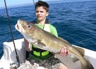 Skipper Arian