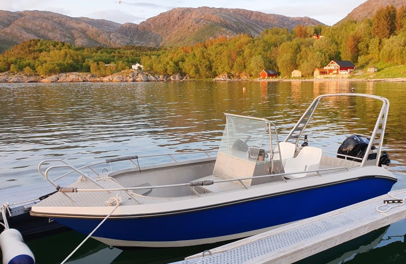 neuer 50 PS Motor, 19 ft. 