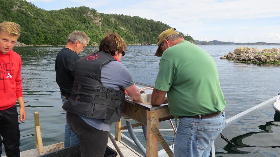 Steganlage mit Fischreinigung und Wasseranschluss
