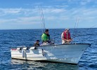 In der Saison gehört Boot Oien 620, 70 PS zur Fewo