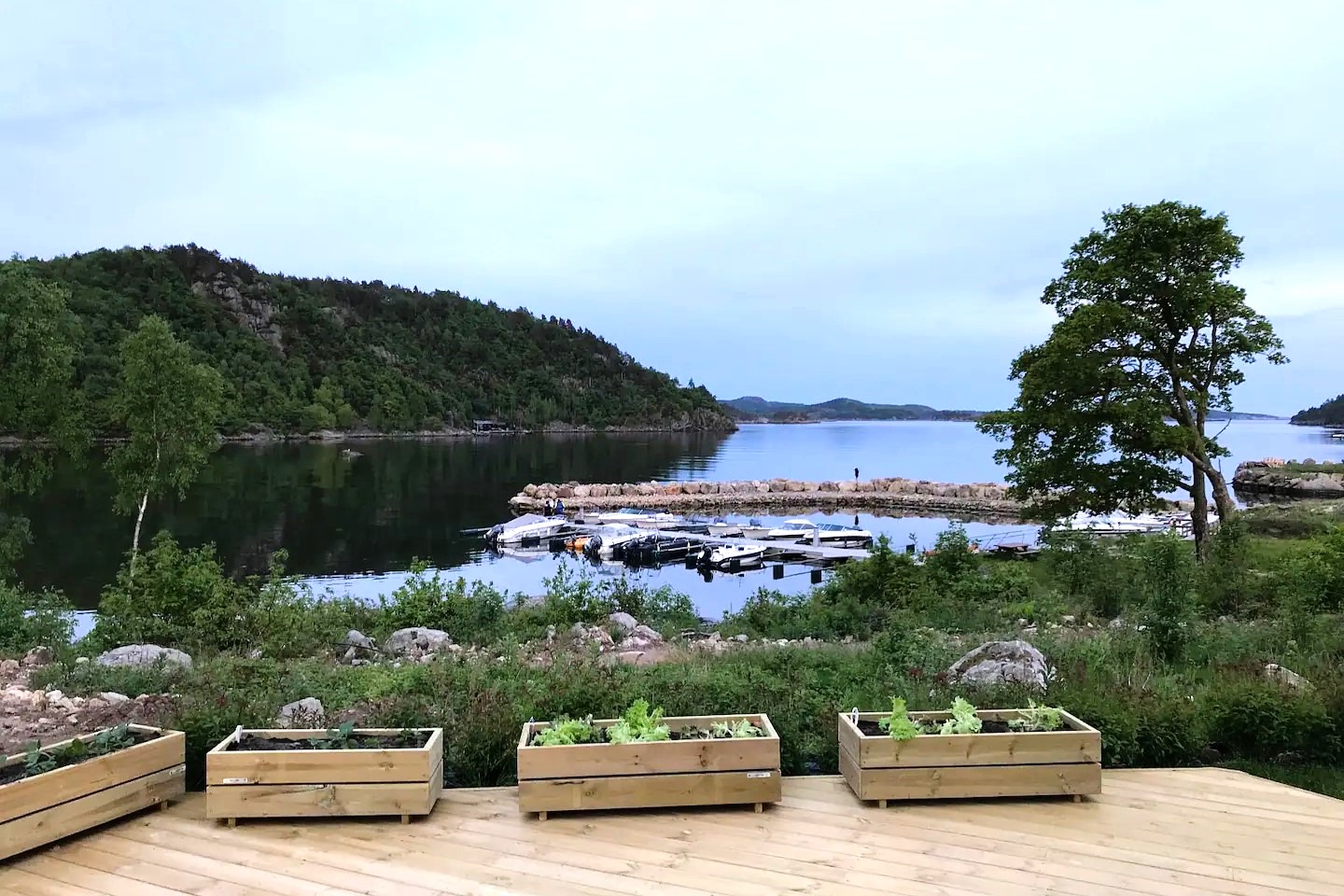 Kafjord Leila