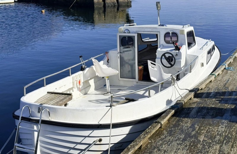 Skipper Arian