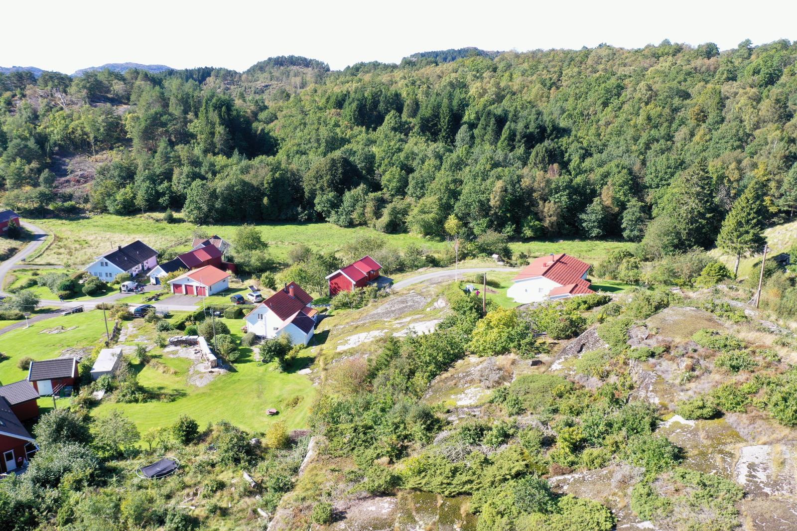 Viga