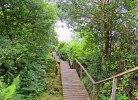 die Treppe zur Steganlage am Rosfjorden