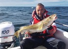 Boote zur Anlage Bjornevag