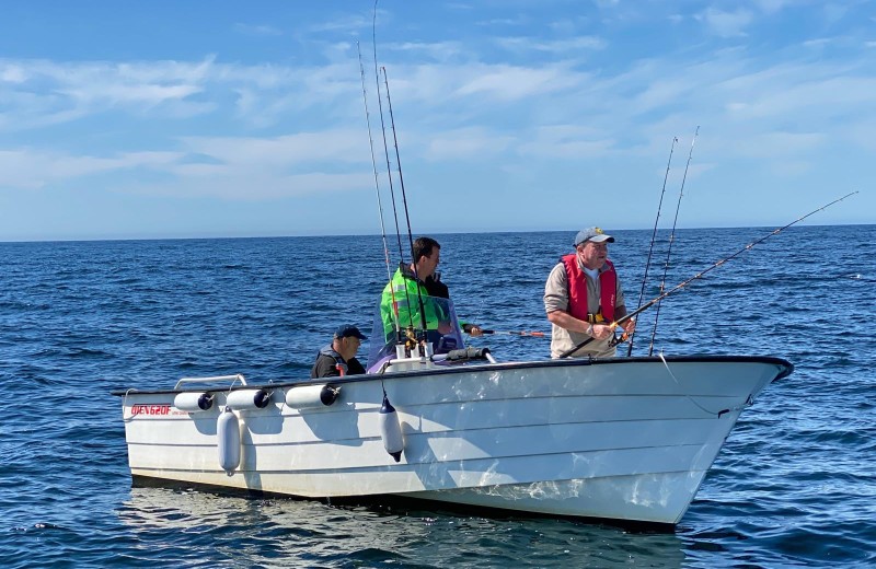 In der Saison gehört Boot Oien 620, 70 PS zur Fewo
