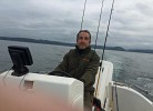 Steinfeda am Lenefjorden