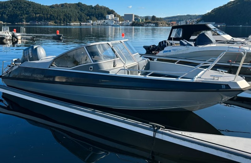 Du hast die Wahl, entweder das Buster 23 ft mit 150 PS - oder 
