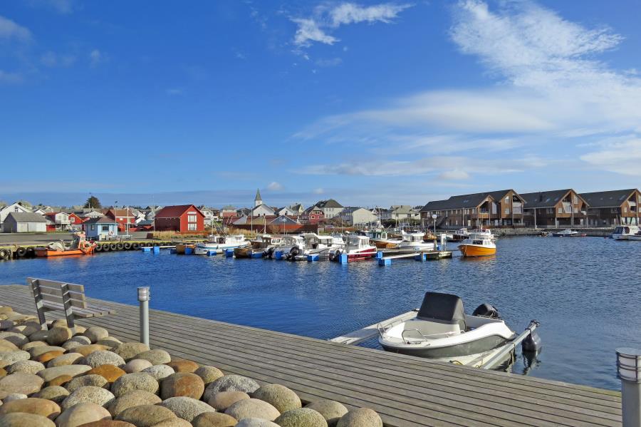 Morild 1
