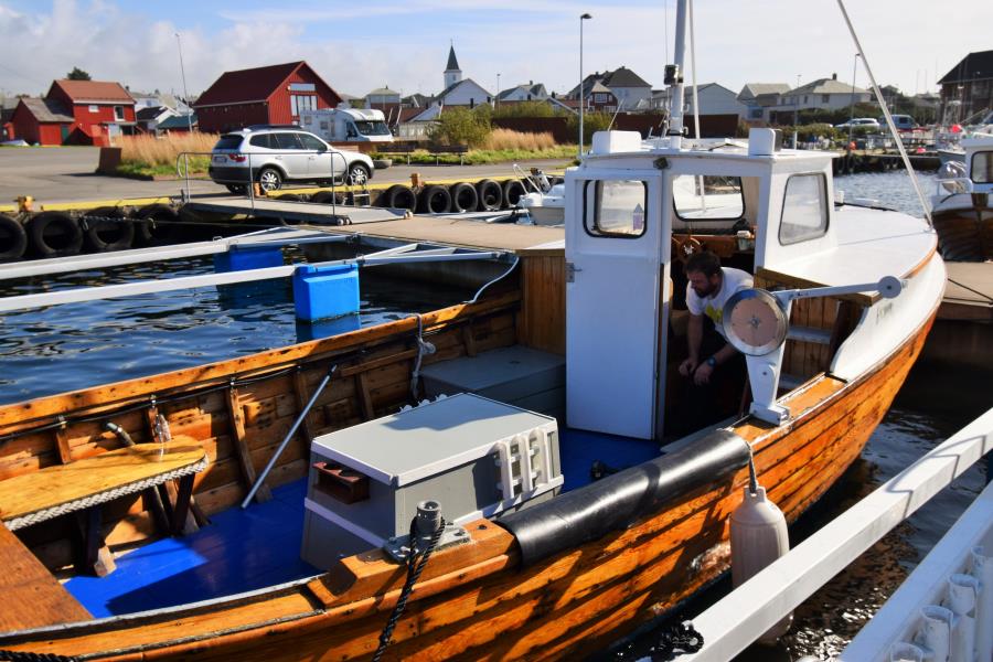  zur Fewo Morild, 29 ft. Dieselkutter Sörvang