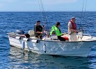 Boot Oien 620, 70 PS mit PLotter und Echolot