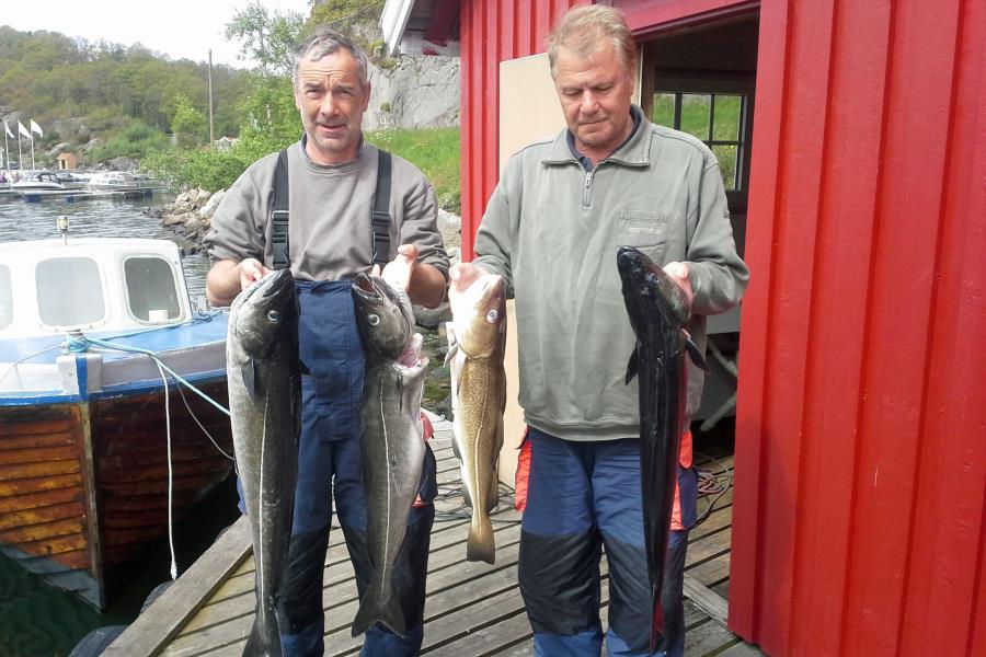 Boote zur Anlage Bjornevag