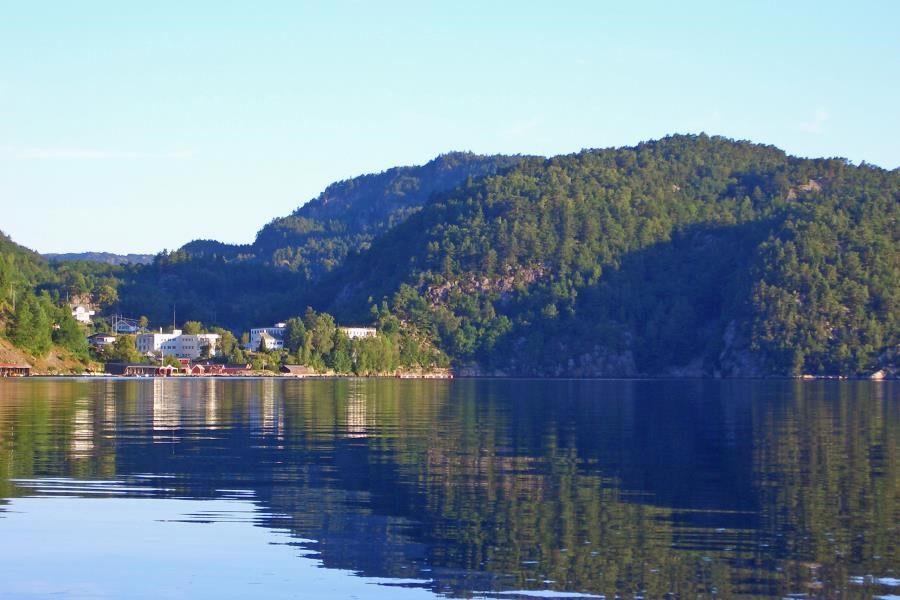 Blubberblasenbucht Fjellsa