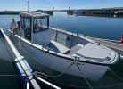 Neu - Boot Sting 725 Pro mit 115 PS , Mod. 2025