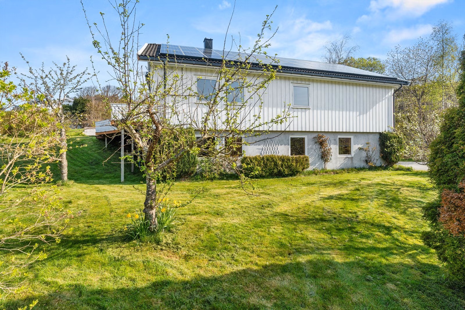 hier entsteht die neue Terrasse mit Zugang zum Wohnbereich
