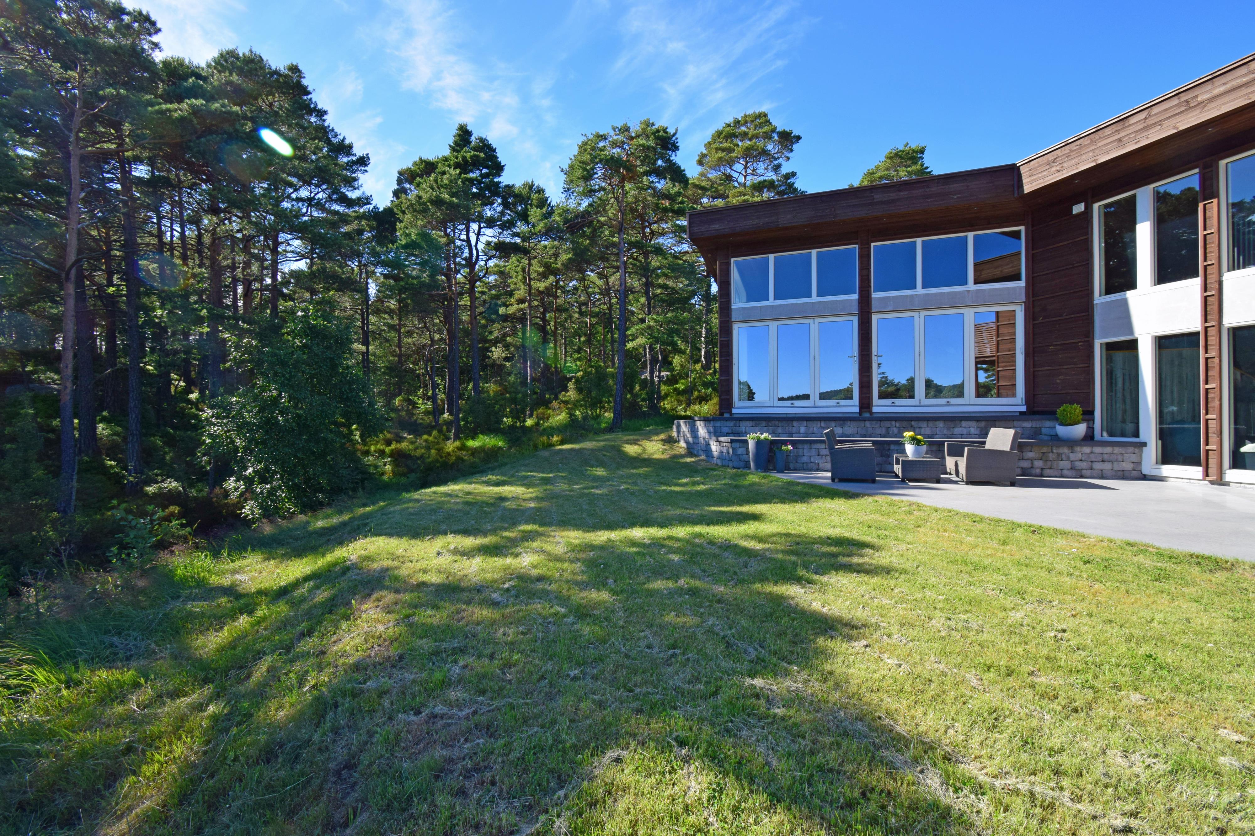 die Wiese vor dem Haus umgeben von Wald