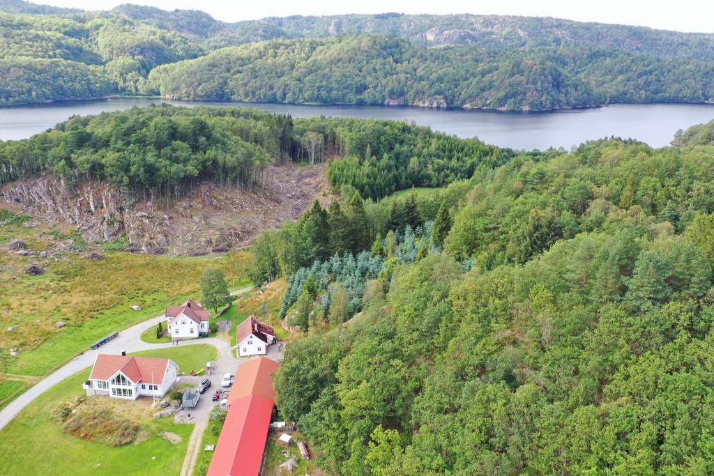 Luftbild vom Anwesen