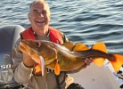 Achim mit einem schönen 95 cm Dorsch 05-2024