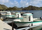 Boot Oien 620 mit 60 PS, Model 2024 inklusive