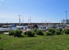 Boot Taule 23 ft. Diesel