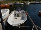 Boot Nr. W: Angel- und Familienboot Irene 19 ft., 40 PS Benziner,