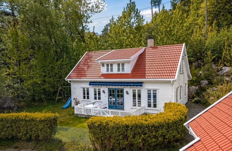 Die Bäume werden noch ausgelichtet