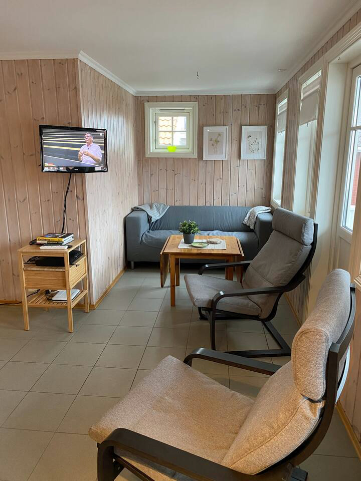 norwegisches TV