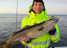 Sigersvoll am Eidsfjorden