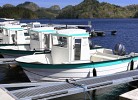 die neue Bootsflotte, Oien 620 Pilothouse