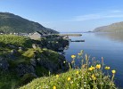 Barents Sea