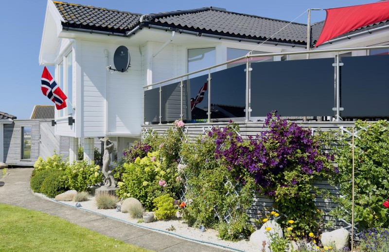 Blumenpracht im Sommer